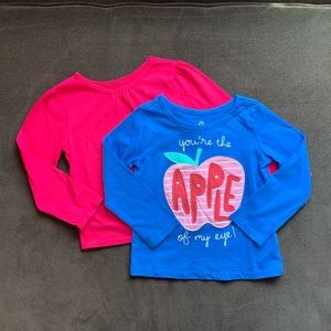 Girls shirt bundle size 2T.
